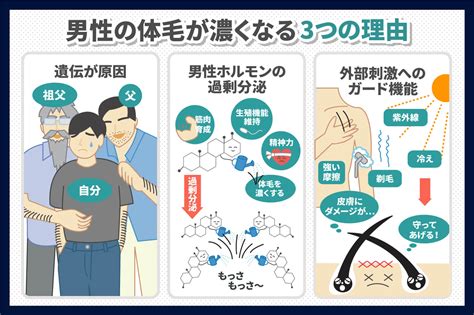 乳毛 男性|【男女別】乳毛の処理の方法・長い人の特徴・生える。